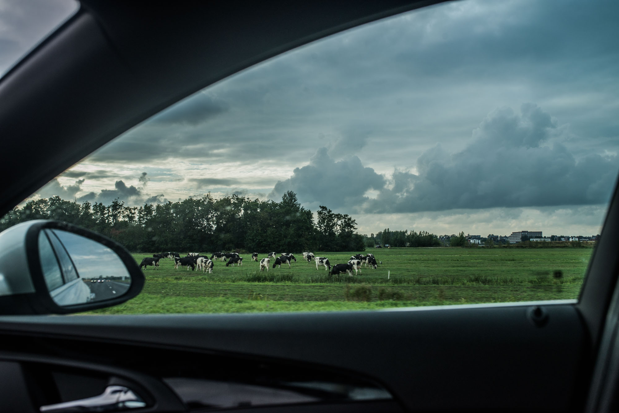 W drodze — fotografia 14 z 42